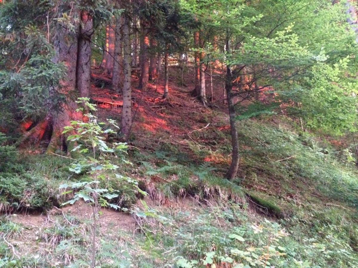 Ferienwohnung Ausblick Missen Wilhams Bagian luar foto